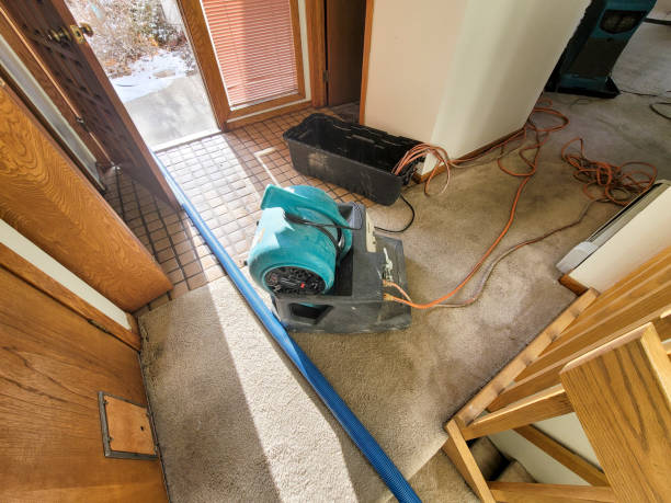 Best Water damage restoration near me  in Jenison, MI