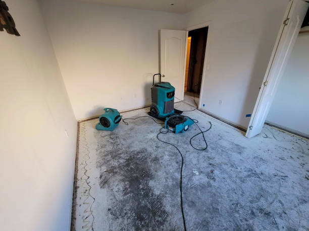 Best Emergency water damage restoration  in Jenison, MI