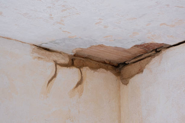 Best Water damage repair service  in Jenison, MI