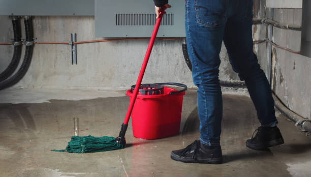 Best 24-hour water damage restoration  in Jenison, MI