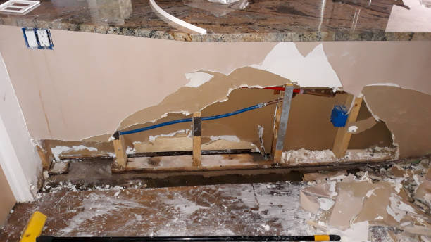 Best Flood restoration services  in Jenison, MI