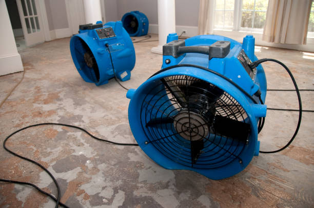 Best 24-hour water damage restoration  in Jenison, MI