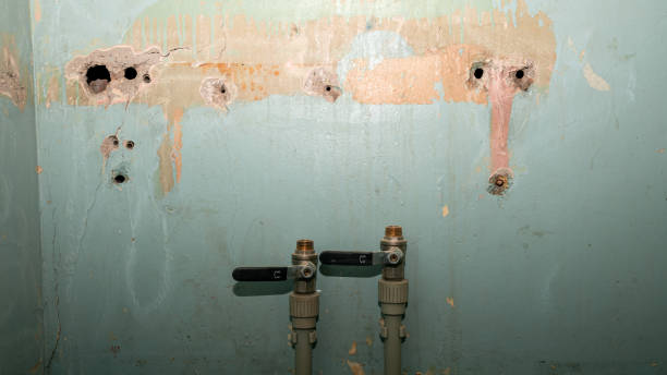 Best Water damage cleanup near me  in Jenison, MI