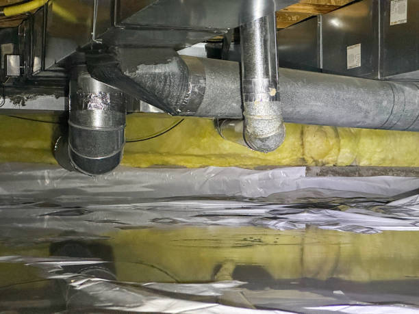 Best Water damage contractors near me  in Jenison, MI
