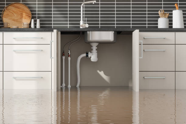 Best Sewage cleanup and water damage restoration  in Jenison, MI