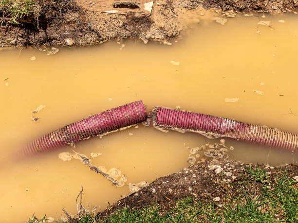 Best 24/7 water damage repair  in Jenison, MI