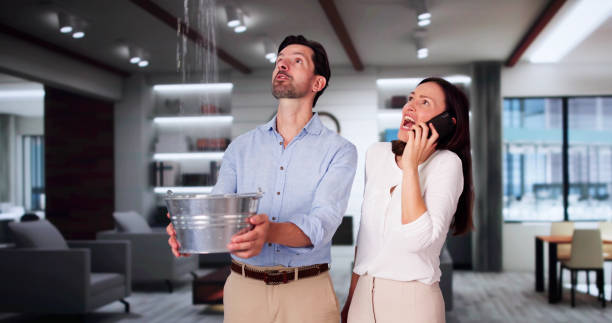 Best Water damage contractors near me  in Jenison, MI