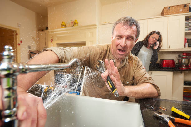 Best Flooded house restoration  in Jenison, MI